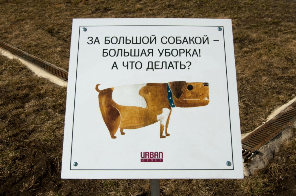 Картинки убери за собакой